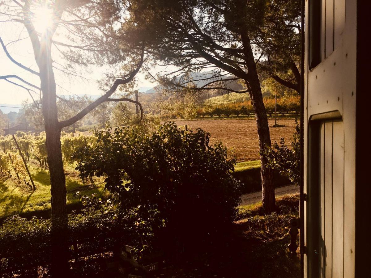 Il Cardello Locanda Casola Valsenio 外观 照片