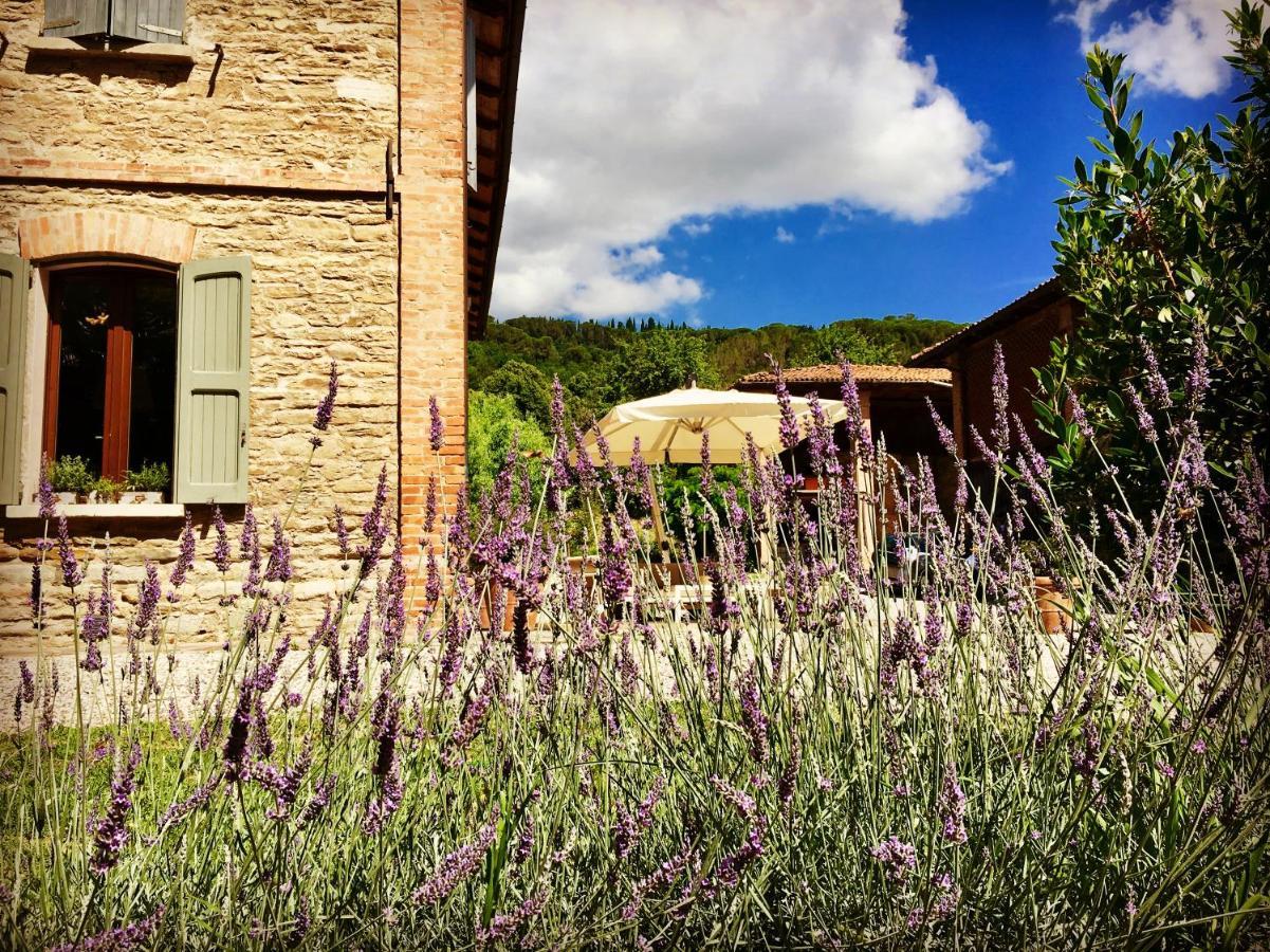 Il Cardello Locanda Casola Valsenio 外观 照片